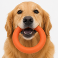 Rubber Ring for Dogs - Durable Toy for Tugging, Fetching, and Chewing - Dark Orange