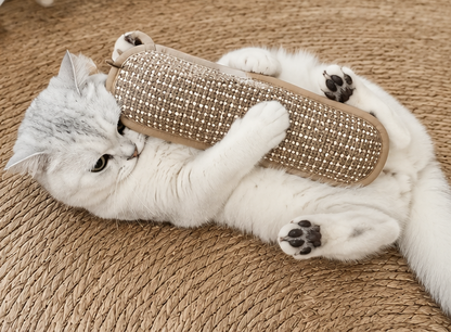 Cat Scratch Pad and Toy 🐱